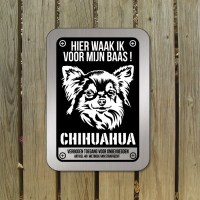 chihuahua-D5-bord
