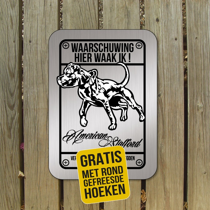 american staffordshire terrier D1 rvs look