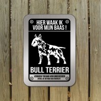 Bull-terrier-D3-bord