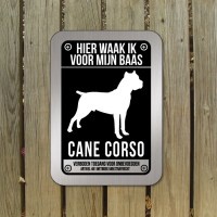 Cane-Corso-D1-bord