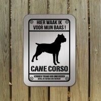 Cane Corso D1 rvs look