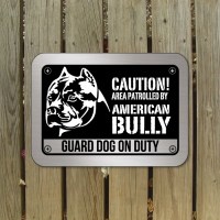 american-bully-D1-bord