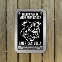 american-bully-D4-bord