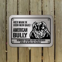 american_bully_D5_bord_zilver