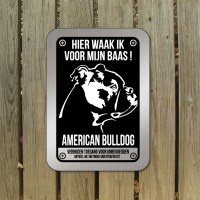 amerikaanse-bulldog-D2-bord