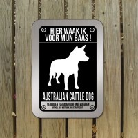 australian-cattle-dog-bord