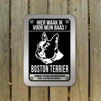 boston-terrier-bord