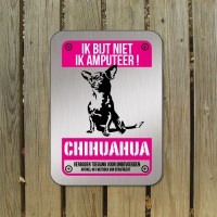 chihuahua-D1