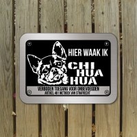 chihuahua-D6-bord