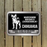 chihuahuaD7