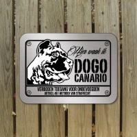 Dogo Canario