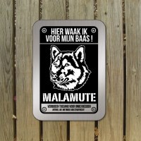 malamute-bord