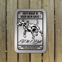 pit_bull_terrier_D2_bord_zilver