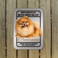 pomeranian