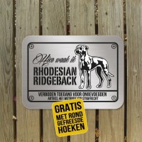 rhodesian ridgeback D3 rvs look