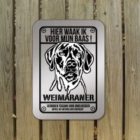 Weimaraner