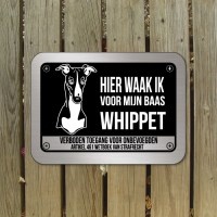 whippet-D2-bord