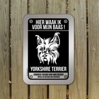 yorkshire-terrier-bord