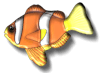 Captcha image 8071